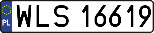 WLS16619