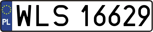 WLS16629