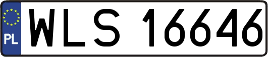 WLS16646