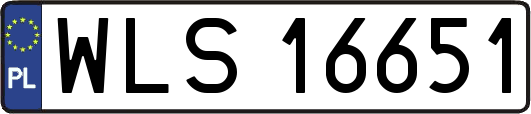 WLS16651