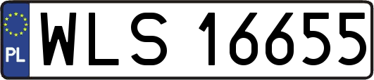 WLS16655