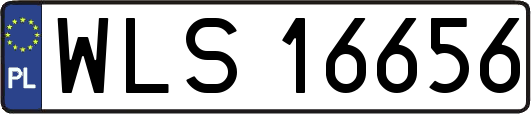 WLS16656