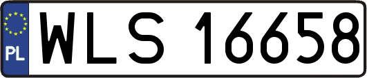 WLS16658