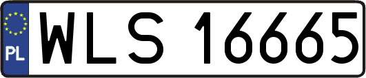 WLS16665