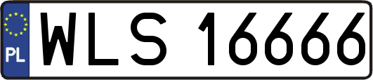 WLS16666