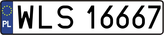 WLS16667