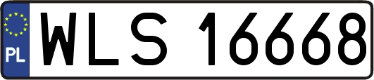 WLS16668