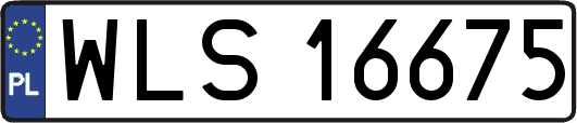 WLS16675
