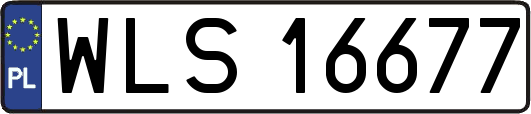 WLS16677