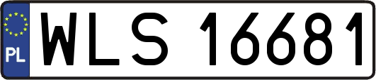 WLS16681