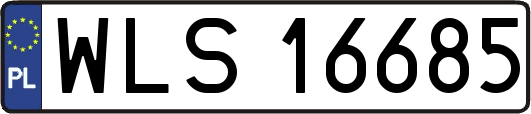 WLS16685