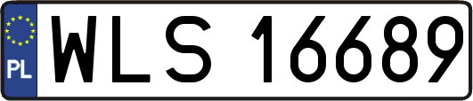 WLS16689