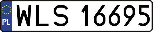 WLS16695