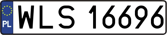 WLS16696