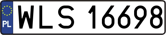 WLS16698