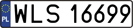 WLS16699