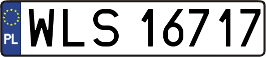 WLS16717