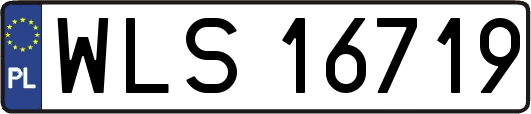 WLS16719
