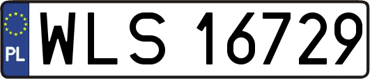 WLS16729