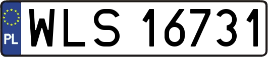 WLS16731