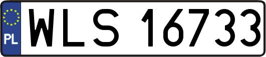 WLS16733