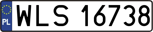 WLS16738