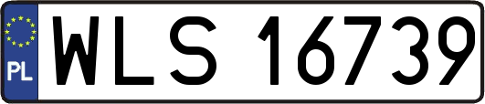 WLS16739