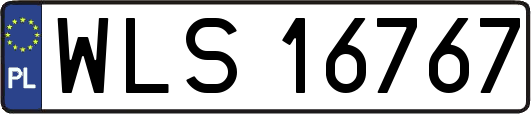 WLS16767
