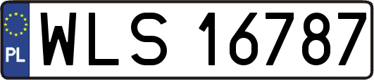 WLS16787