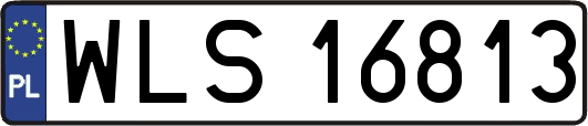 WLS16813