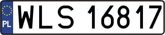 WLS16817