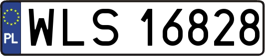 WLS16828