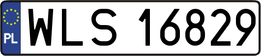 WLS16829