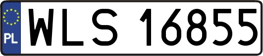 WLS16855