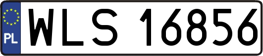 WLS16856