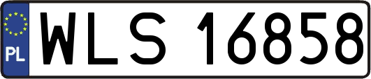 WLS16858