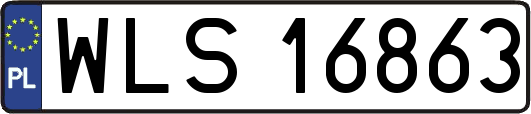 WLS16863