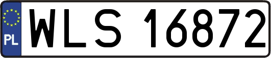 WLS16872