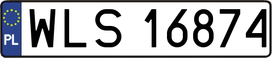 WLS16874