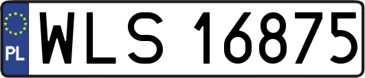 WLS16875