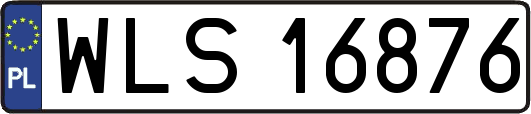 WLS16876