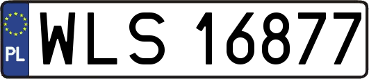 WLS16877