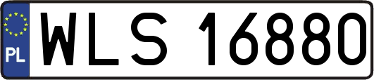 WLS16880