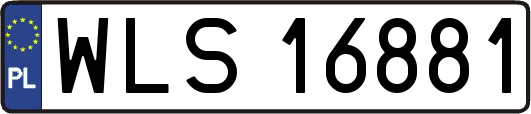 WLS16881