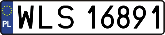 WLS16891