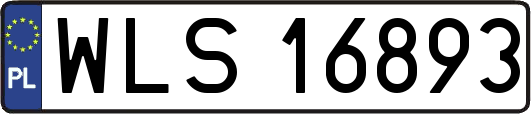 WLS16893