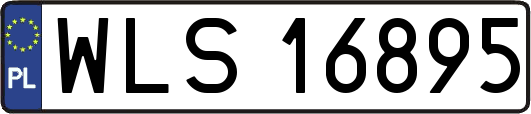 WLS16895