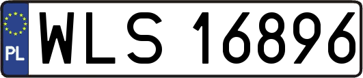 WLS16896
