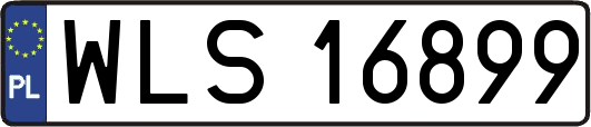 WLS16899