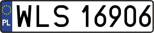 WLS16906
